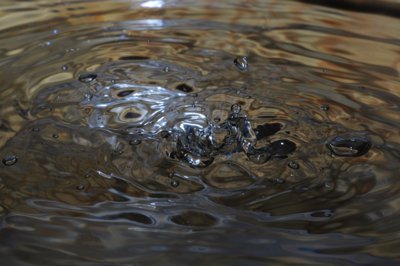 Goutte 3_4327914567_l.jpg